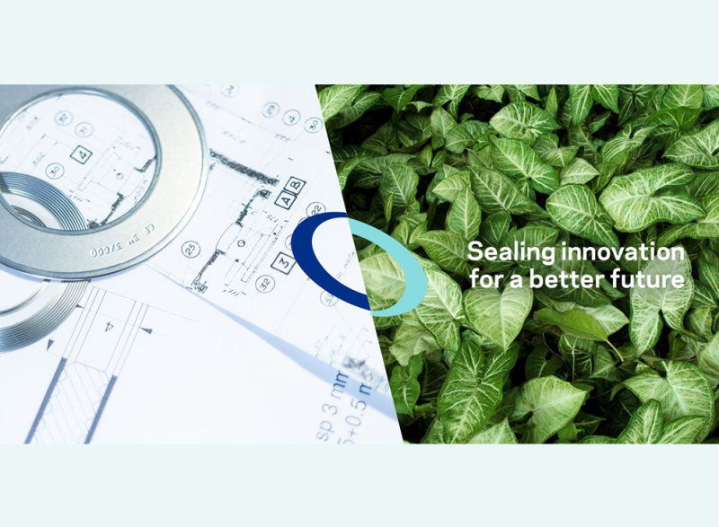 Discover CF on LInkedin